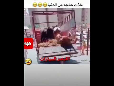 انا بموت من الضحك والله اخذت شي من الدنيا خذه ههههههههههههههههههههههههههههه 