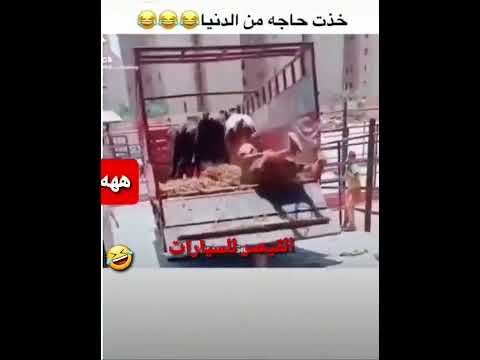 هموت من الضحك اقسم بالله خدت حاجه من الدنيا طب خد هههههههههههههههه 