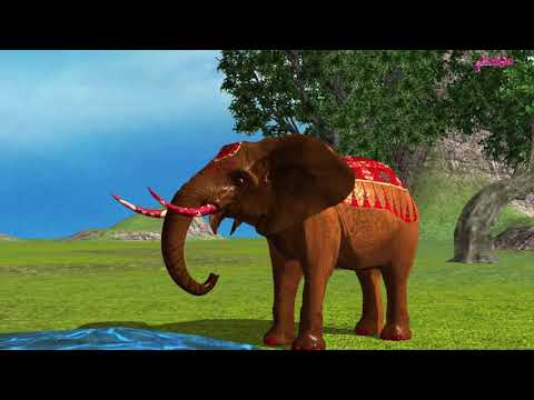 نشيد فيل أبرهة لرياض الأطفال من سلسلة أغاني الروضة للأطفال 