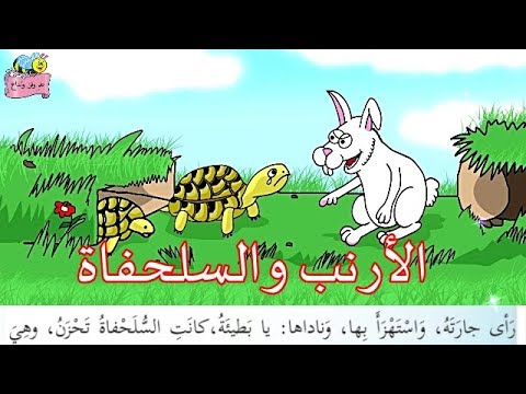 قصة الأرنب والسلحفاة و قصة الديك الحكيم الدرس الثاني للصف الثالث 