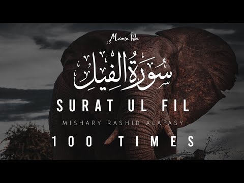 Surah Al Fil 100 Times Mishary Bin Rashid Al Afasy With Translation And Transliteration 