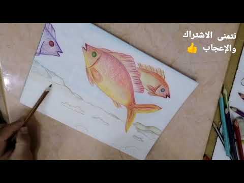 تعليم رسم قاع البحر Teaching Drawing The Bottom Of The Sea 