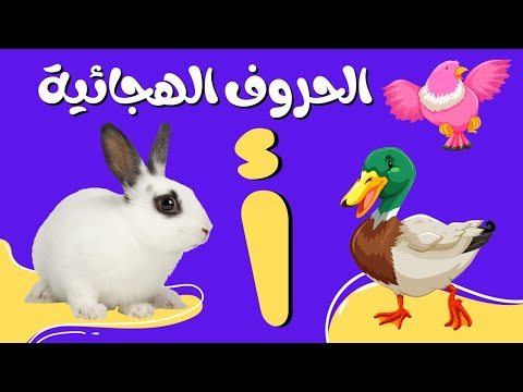 الحروف الهجائية للأطفال بأشكال الحيوانات أ، أرنب، ب، بطة الحروف العربية للأطفال 