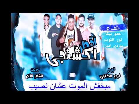 مهرجان اخطر عمل بالكلمات. أنا لا أخاف من الموت. ولأن في داخلي شخص مجنون، يجب أن أترك حمو بيكا ومودي أمين. 