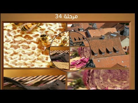 كلمات متقاطعة و صور المجموعة الرابعة مرحلة34 