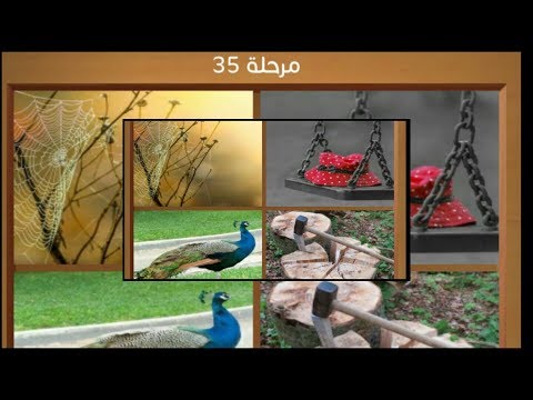 كلمات متقاطعة و صور المجموعة الرابعة مرحلة 35 