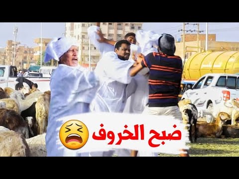 الآلة عبارة عن مزحة ذبح الأغنام 