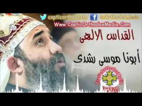 قداس ابونا موسي رشدي 