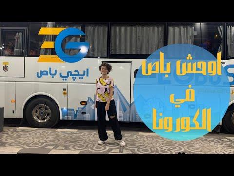 دليلك إلى مرسى علم. لقد جربت أسوأ حافلة في زمن الكورونا 