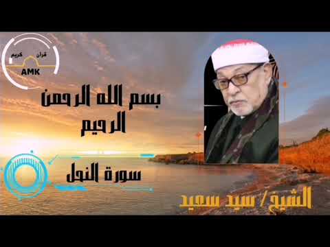 سورة النحل القاريء الشيخ سيد سعيد 
