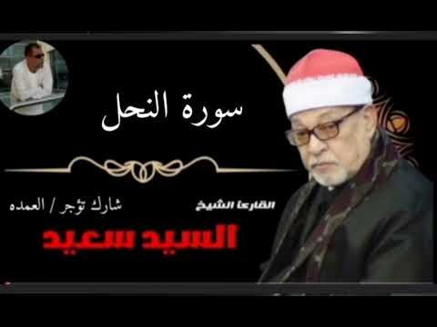 الشيخ السيد سعيد وما جاء من سورة النحل الآيات 1 إلى 31 