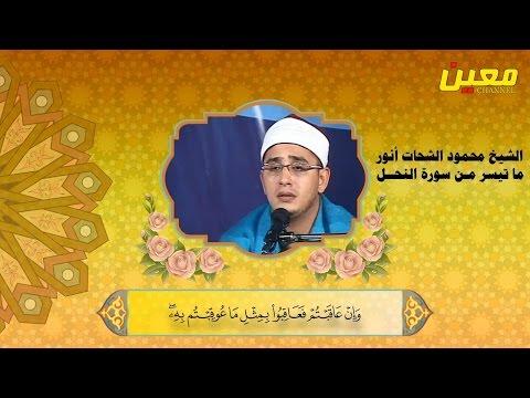 تلاوة رائعة للشيخ محمود الشحات محمد أنور ما جاء من سورة النحل والبلد والكوثر - محفل في إيران HD 