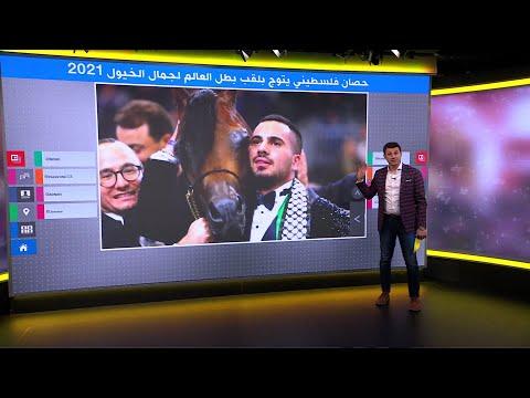 الحصان الفلسطيني دي مزيان أجمل الخيول الأصيلة في العالم لعام 2021 