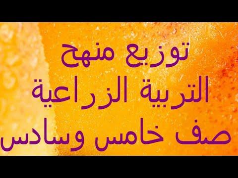 توزيع منهج التربية الزراعية للصف الخامس والسادس الابتدائي 