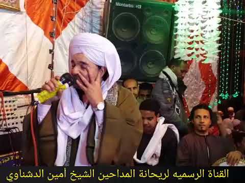 شاهد روائع ريحانة المداحين الشيخ أمين الدشناوى في حفل مولد الشيخ علام بالأقصر 