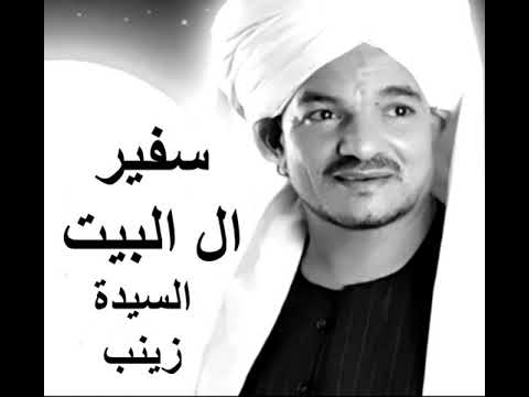 أمين الدشناوي، السيدة زينب 