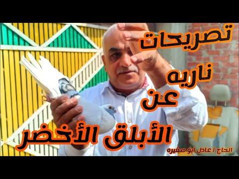 تصريحات ناريه عن الابلق الاخضر مع الحاج عادل ابو صغير لوفت عمرو اشرف 