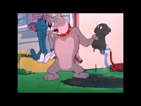 Tom And Jerry توم و جيري حلقة الكلب الملون الجزء 1 YouTube 