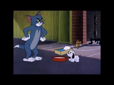 Tom And Jerry 80 Episode Puppy Tale 1954 