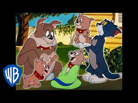 Tom Jerry Adorable Tyke Classic Cartoon Compilation WB Kids 