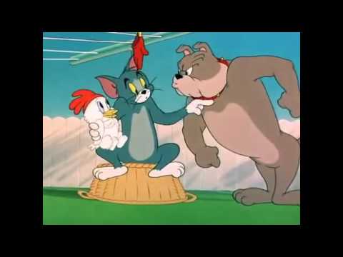 Tom And Jerry توم و جيري حلقة الكلب الملون الجزء 2 YouTube 