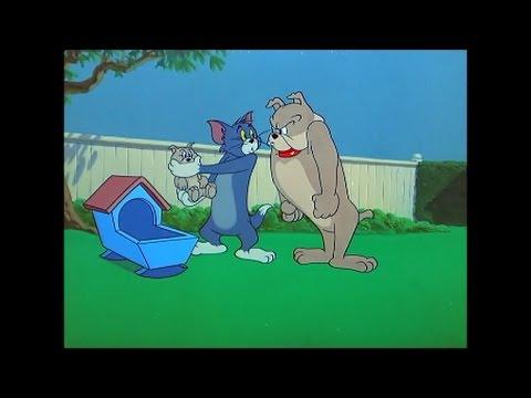 Tom And Jerry 82 Episode Hic Cup Pup 1954 