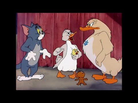 Tom And Jerry 47 Episode Little Quacker 1950 