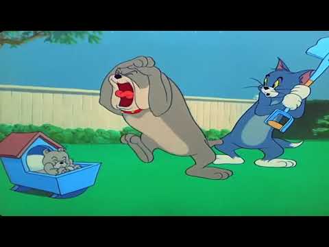 Tom And Jerry Episode 82 Hic Cup Pup Part 1 