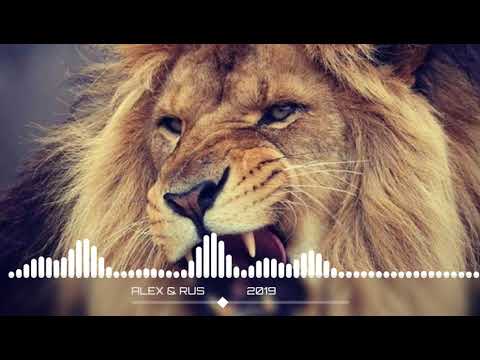 ALEX RUS WILD LIONESS نسخة الموسيقى HD Mp3 