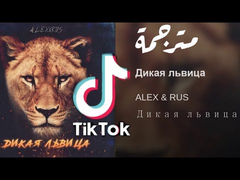 اغنية تيك توك حركة الاسد ALEX RUS Дикая львица مترجمة للعربية 