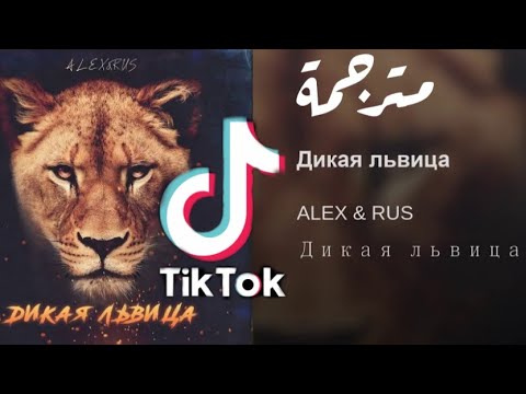أغنية تيك توك حركة الأسد ALEX RUS Дикая львица مترجمة للعربية 