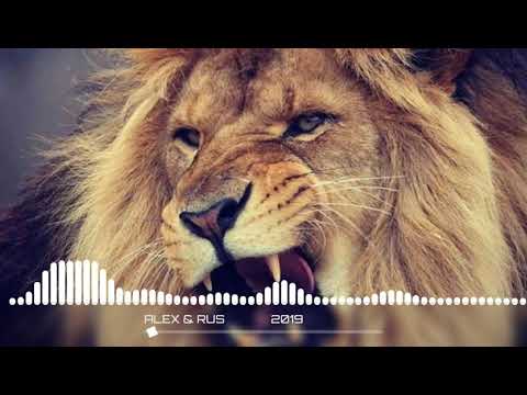 Alex And Rus Lion Roar Remix Full Song In Audio Music Library 