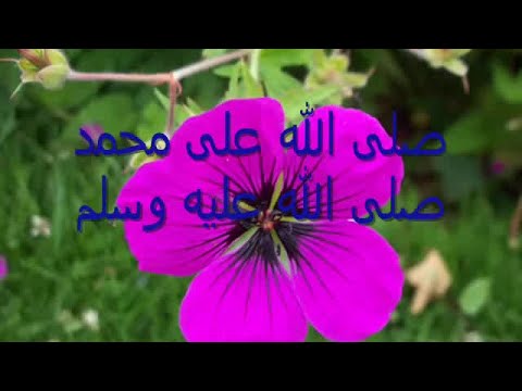 Noureddine Khourchid صلى الله على محمد نور الدين خورشيد Islamic Arabic Nasheed 