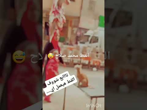 الهريرة محمد صلاح تعبانه يا كابتن 