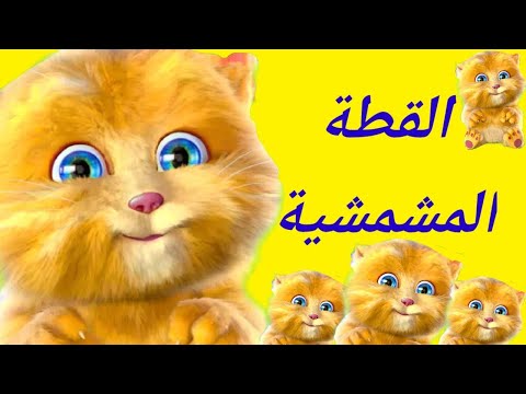 القطة المشمش حلوة، لكن القطة أنجيلا شقية 