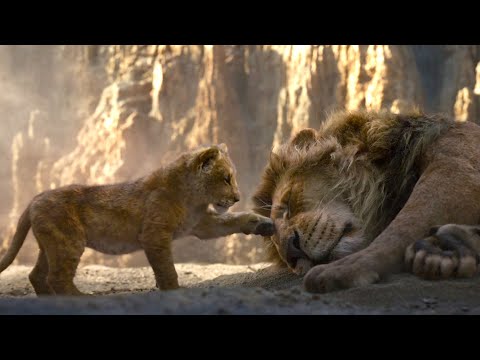 The Lion King أسد بيقتل أخوه الملك وبيحاول إنه يقتل إبنه وإبنه بيكبر وبيرجع عشان ينتقم لأبوه 