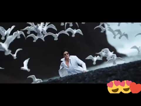 اغنية Gerua مترجمة Dilwale 