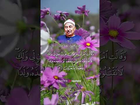 أجمل التلاوات الخاشعة للشيخ محمد محمود الطبلاوي سورة القصص 
