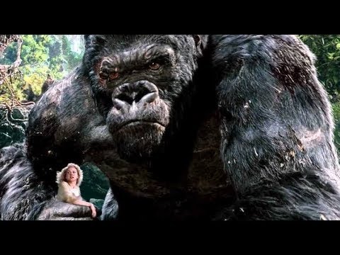 King Kong The Beautiful Film Of World720P HD 