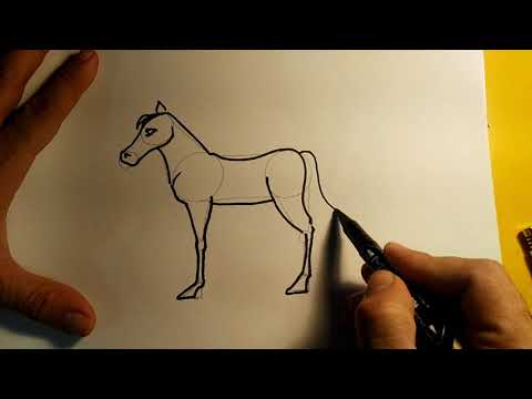 Easiest Way To Draw A Horse اسهل طريقه لرسم الخيل 