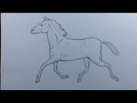 كيف أرسم حصان بطريقة بسيطة 