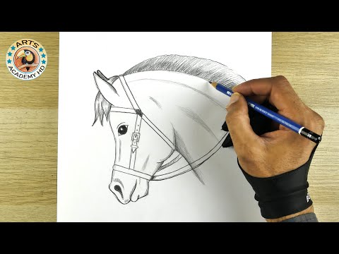 How To Draw Horse Drawing Easy Step By Step Drawing Dibujo رسم سهل للمبتدئين رسم حصان 