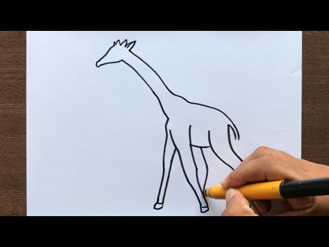 How To Draw A Giraffe 