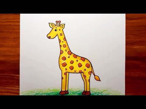Giraffe Drawing How To Draw Giraffe Step By Step For Beginners Giraffe Drawing Colour 
