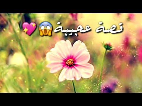 ليس له حسنة فيدخل الجنة. قصة اسلامية رائعة . فيديو ديني مؤثر عن رحمة الله. جمعة مباركة. 