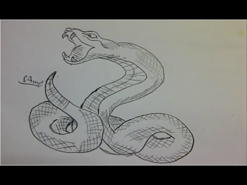 رسم أفعى Draw A Snake تعلم الرسم بالرصاص للمبتدئين بطريقة سهلة و بسيطة و خطوة بخطوة 