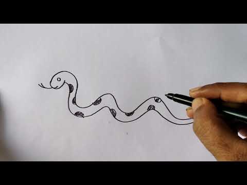 How To Draw Snake Easy Snake Drawing Step By Step Snake Drawing For Kids Kids Topic 