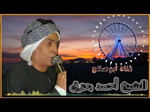 الكروان الشيخ أحمد بزق وحبيبي نبينا مين الجميل؟ 