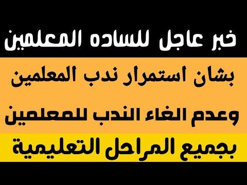 هام للمعلمين: نشرة بخصوص استمرار انتداب المعلمين في كافة المراحل. استمرار تكليف المعلمين 