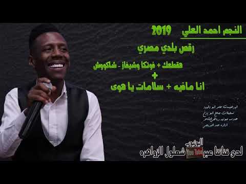 احمد العلي 2020 اغاني انا مافيا و هاتي فوديكا و شيفازو سلامات يا هوى 